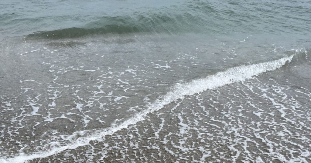 海辺で撮影した写真